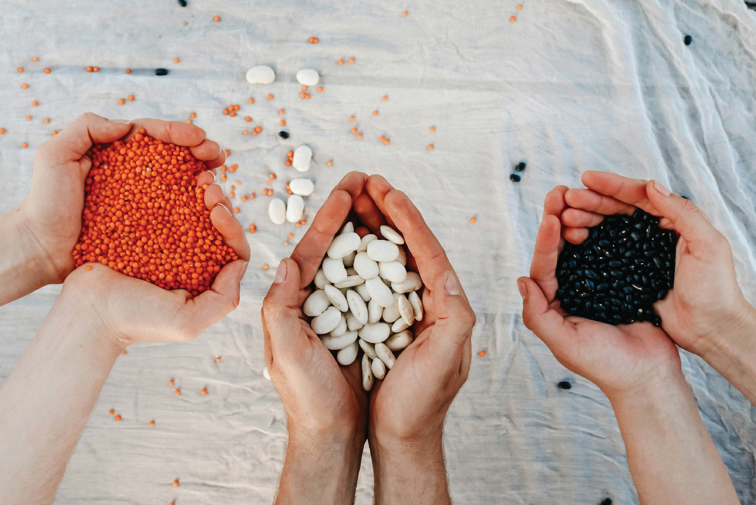 Legumes and the role they play in hair health