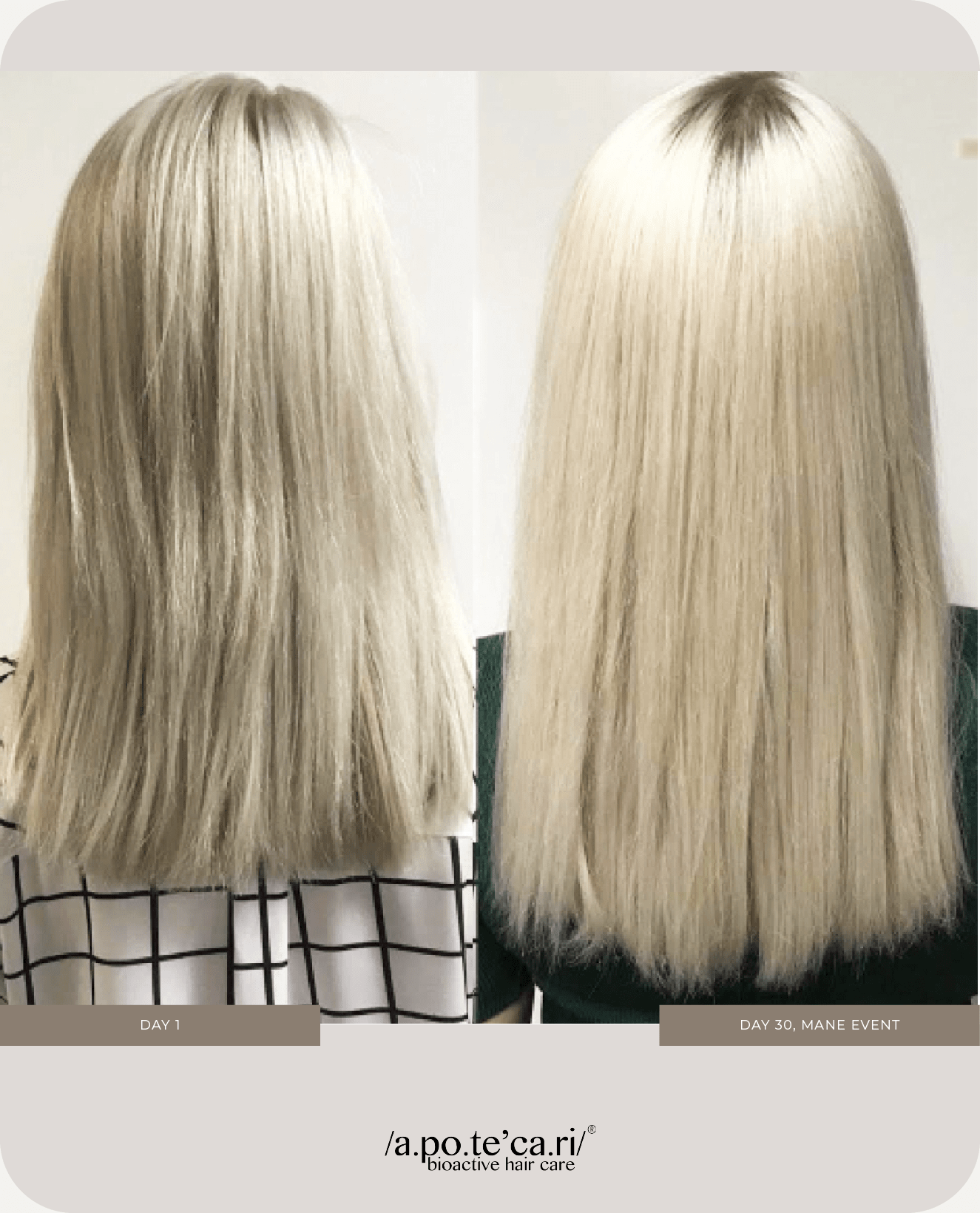 Apotecari, before and after, mane event, clowning glory, hair atelier, blonde