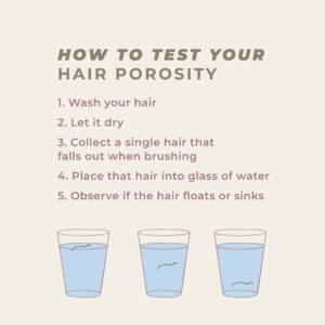 Knowing Your Hair's Porosity Can Improve Your Routine - Apotecari |  Bioactive Hair Care